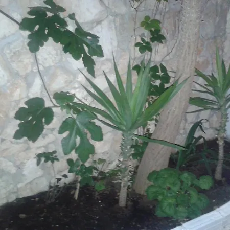 Alissa Gostinjska kuća 2*