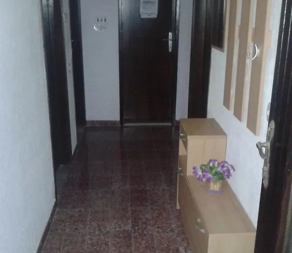 Guest house Alissa 2*