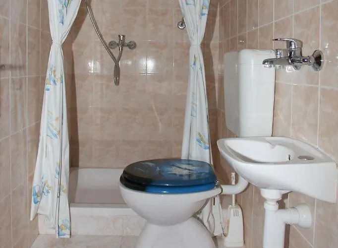 Guest house Alissa 2*